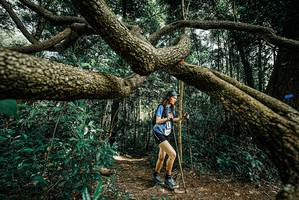 BIB: 
                            <button type="button" onclick="openModal(25705819)" class="btn btn-primary btn-sm float-right btn-popup" data-toggle="modal" data-target=".modal-high-quality">
                        <i class="fas fa-shopping-cart"></i> Add to Cart
                    </button>
                                            <button type="button" onclick="isThisMe(25705819, true)" class="btn btn-success btn-sm float-right btn-popup btn-isme hidden" data-toggle="tooltip" data-placement="bottom" title="นี่คือรูปของคุณใช่ไหม คลิกที่นี่เพื่อเอาเข้าอัลบั้ม">
                        <i class="fas fa-plus"></i> Add to album
                    </button>
                    <button type="button" onclick="isThisMe(25705819, false)" class="btn btn-warning btn-sm float-right btn-popup btn-isnotme hidden">
                        <i class="fas fa-ban"></i> Remove from album
                    </button>